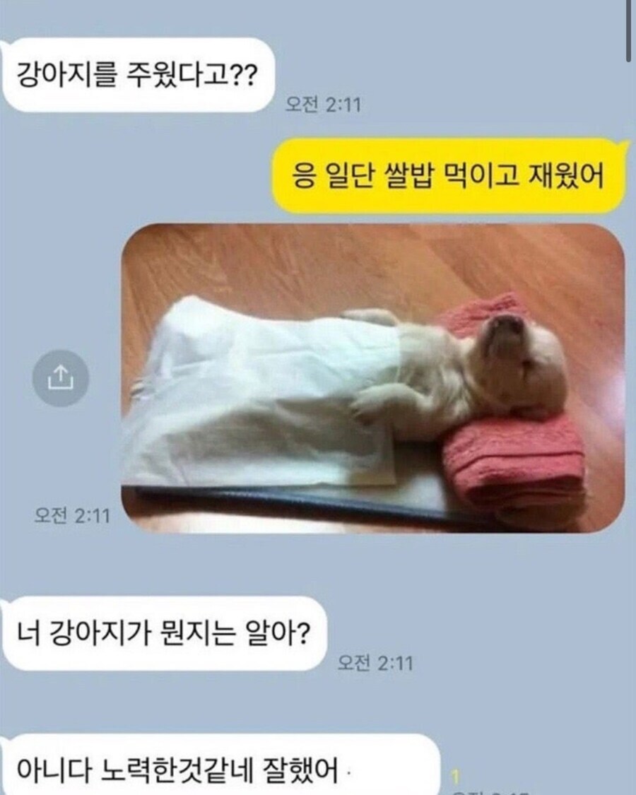 강아지를 주워서 밥 먹이고 재운 사람_1.jpg