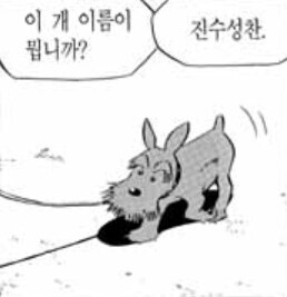 개 이름이 어떻게_1.jpg