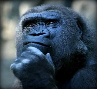 MCU)스포) "어벤져스 5편 빌드업된거 하나도 없지 않음?"_5.jpg