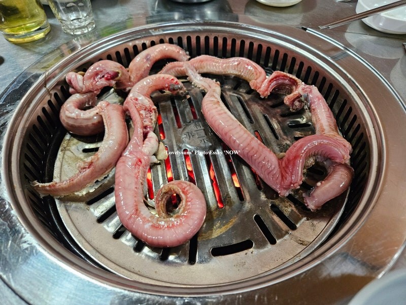 방어랑 동급으로 고급으로 둔갑된 어종_1.jpg