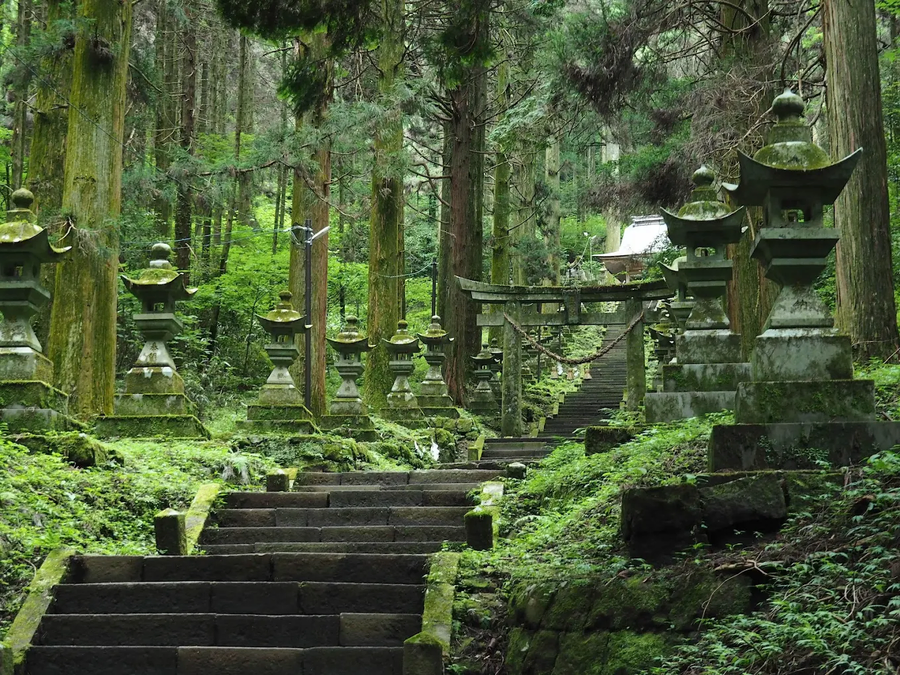 [요모] 겨울 큐슈 온천 #구로카와 료칸 가족여행 4일 112만원 부터 #가이세키_3.webp