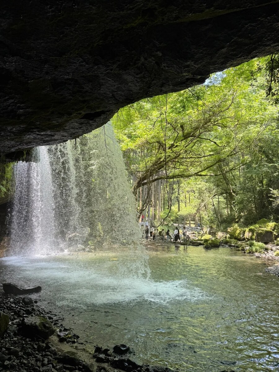 [요모] 겨울 큐슈 온천 #구로카와 료칸 가족여행 4일 112만원 부터 #가이세키_6.jpg
