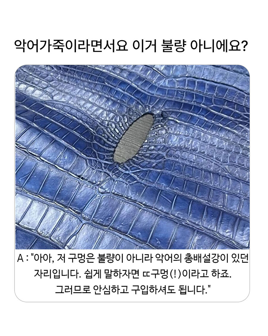 악어가죽에 구멍이 났는데 불량 아니에요?.jpg_1.jpg
