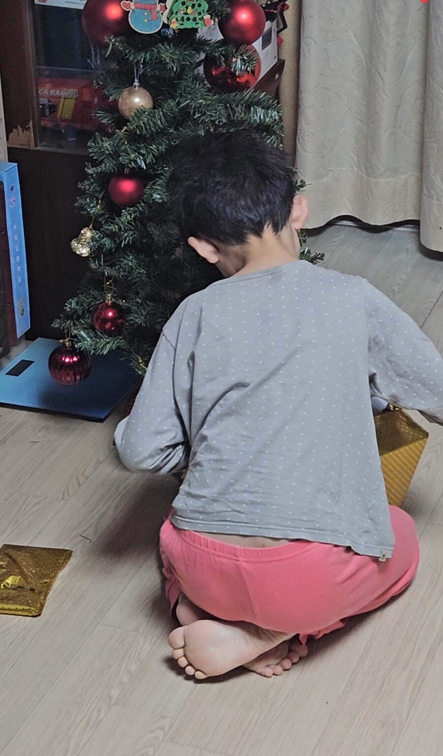 아침 풀도파민 구경_1.jpg