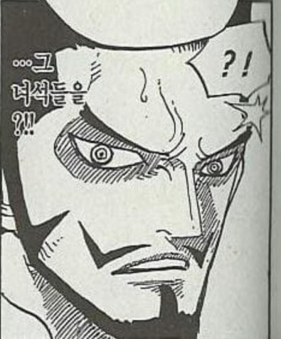 [원피스] 가짜 조로가 나타나는 이야기를 망상해봤습니다_5.jpg