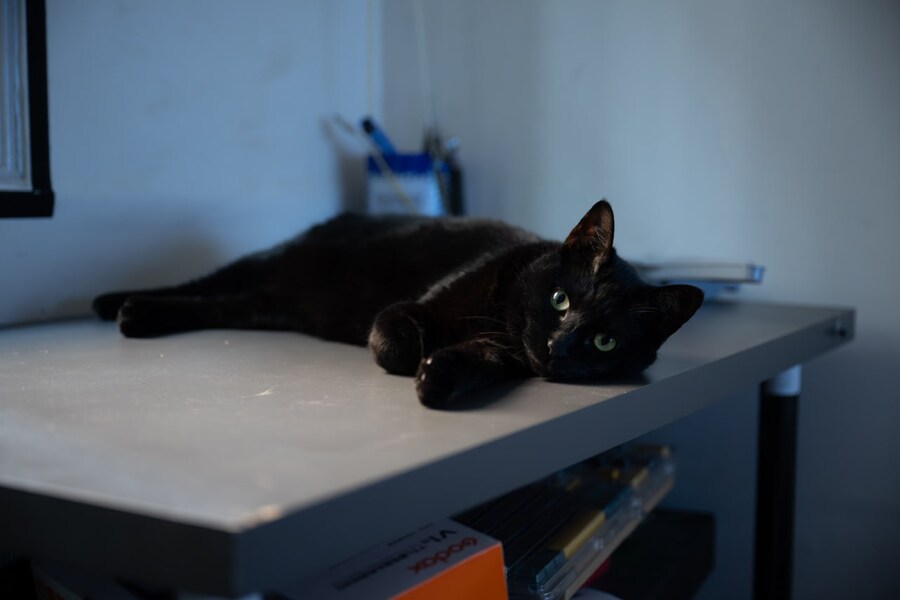 간택전 간택후....._12.jpg