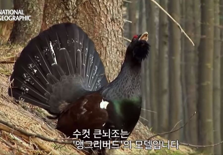 가오가 뇌를 지배하는 생물_2.jpg