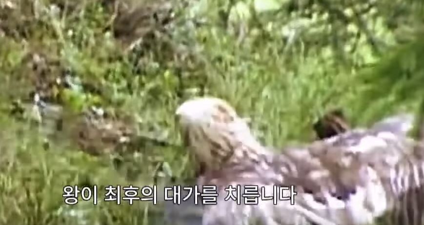 가오가 뇌를 지배하는 생물_23.jpg