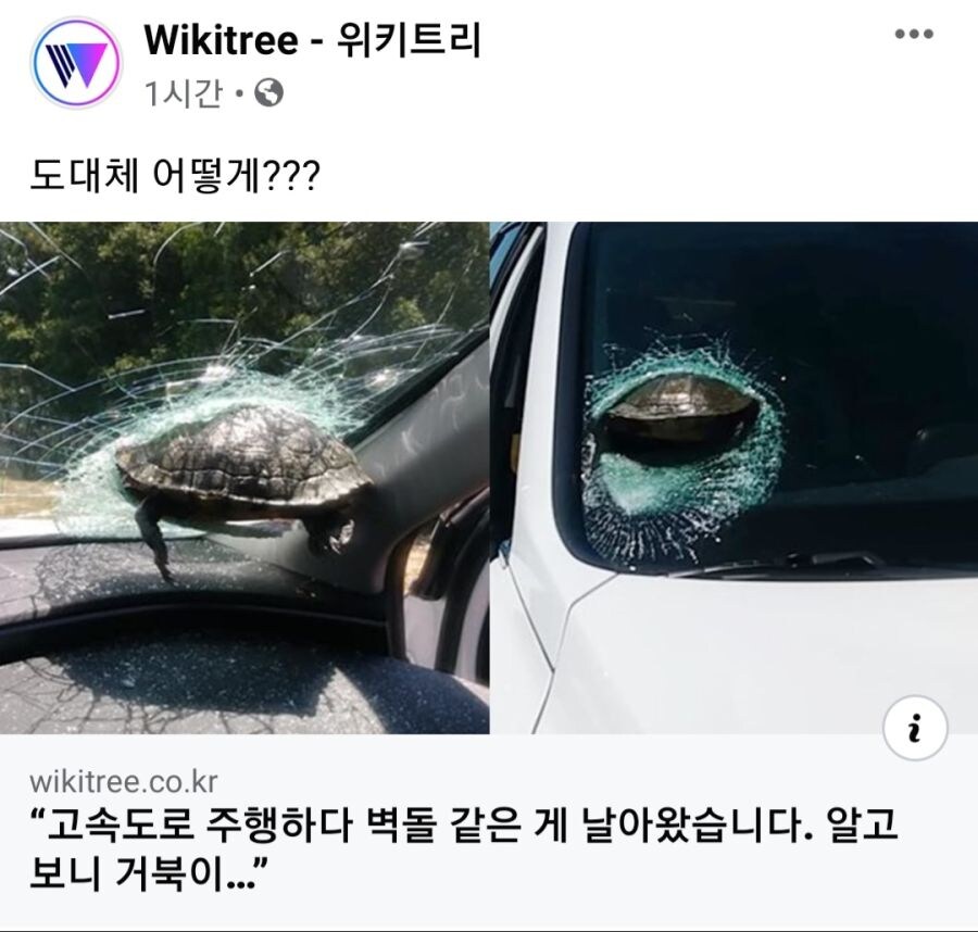 관성 드리프트... 도랑타기... 시시해서 죽고 싶어졌다._1.jpg