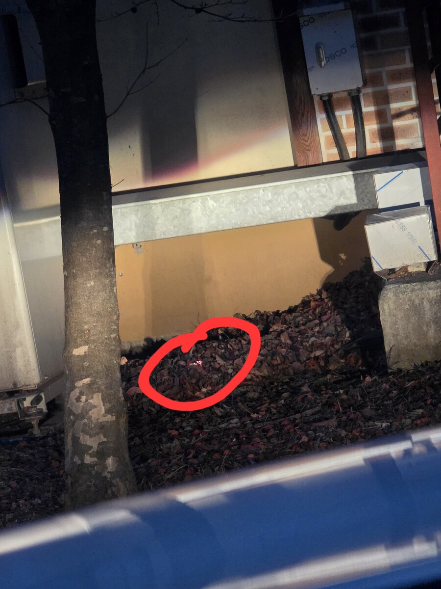 지기미 누가 담배꽁초 불똥 살아잇는거 GHP 옆에 던졋냐 햇는데_1.jpg