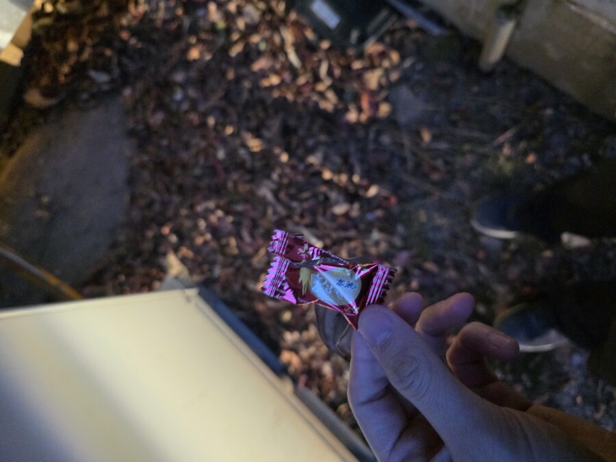 지기미 누가 담배꽁초 불똥 살아잇는거 GHP 옆에 던졋냐 햇는데_2.jpg