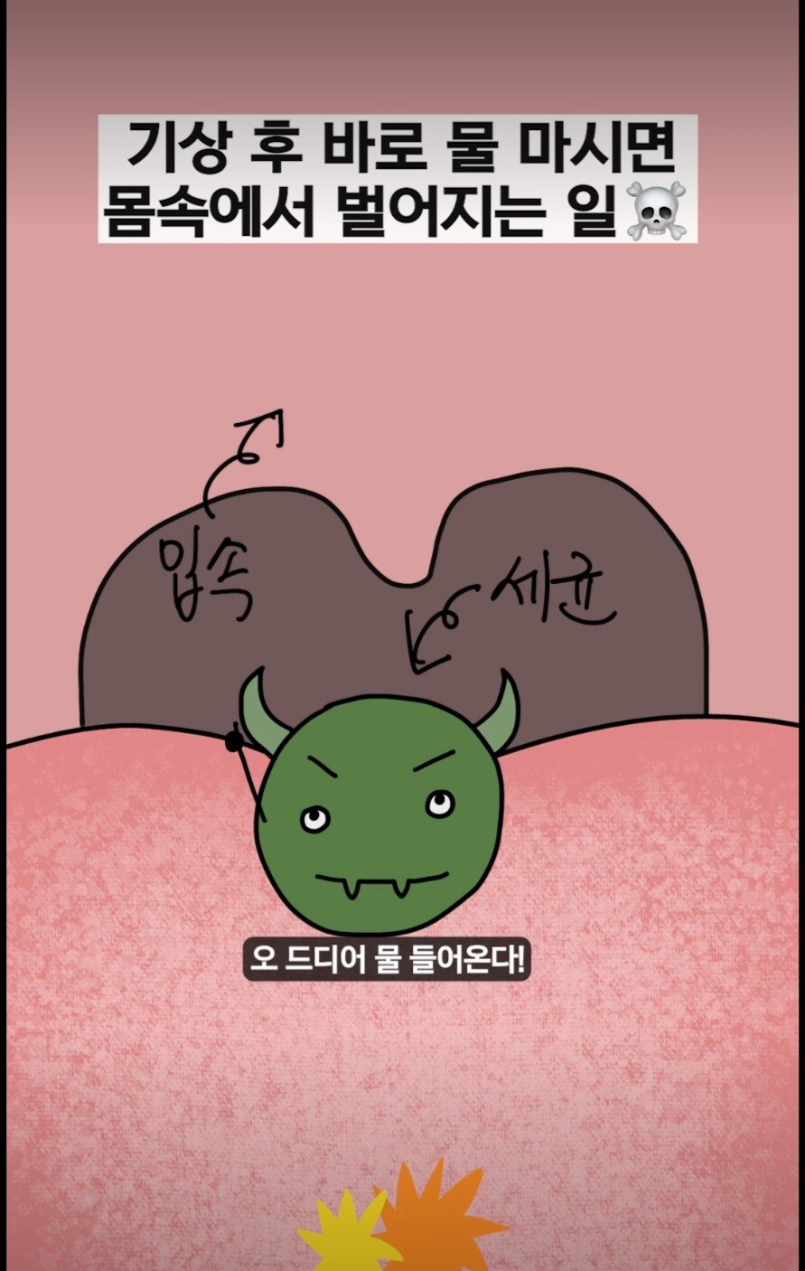 잠에서 일어나서 바로 물을 마시면 안되는 이유_2.jpg