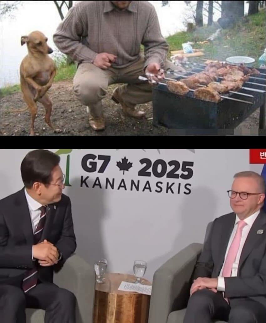 사실상 진짜 여자아베_1.jpg