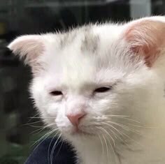 일그오를 보는 한그오 유저의 마음_2.jpg