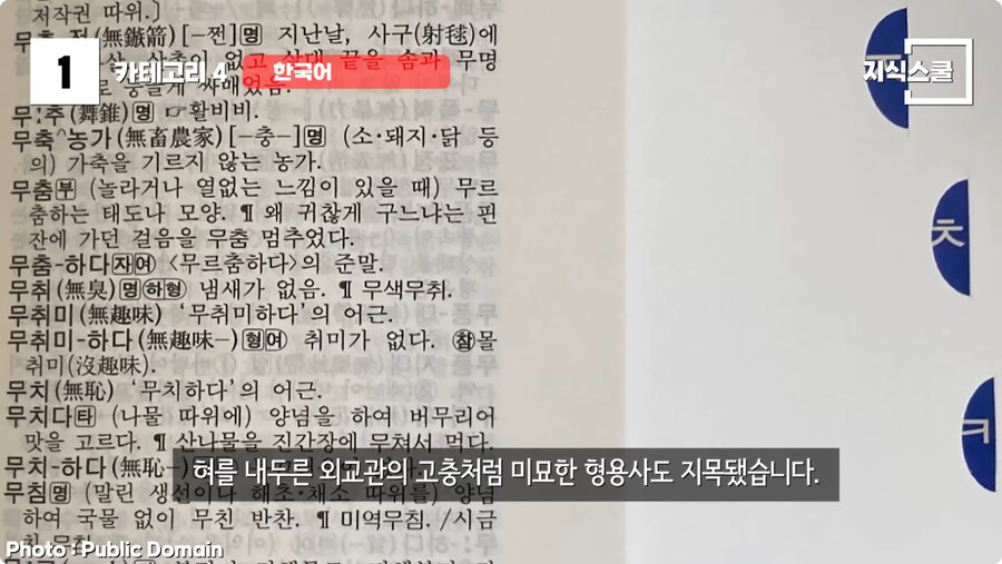 미국인들이 한중일 언어를 어려워 하는 이유.jpg_49.jpg