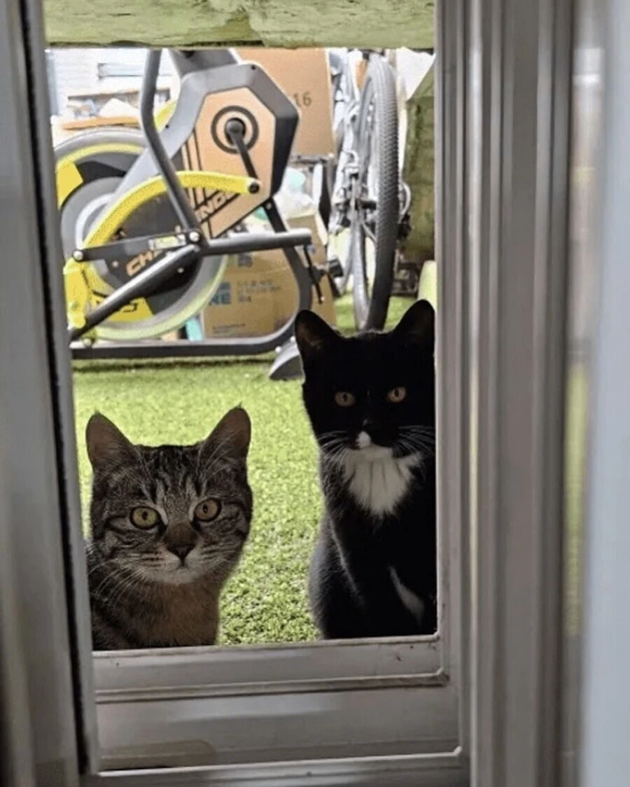 최고의 반지하 옵션_3.webp