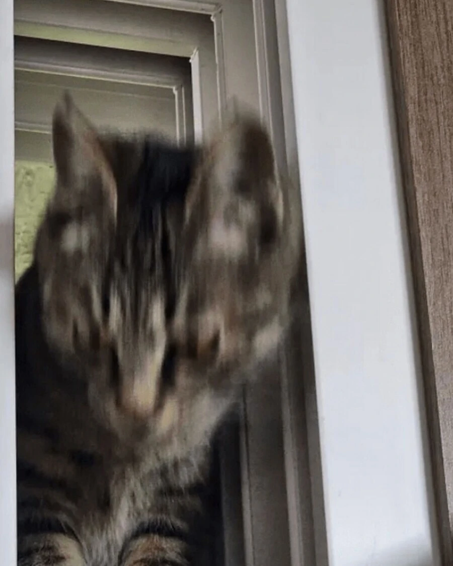 최고의 반지하 옵션_4.webp