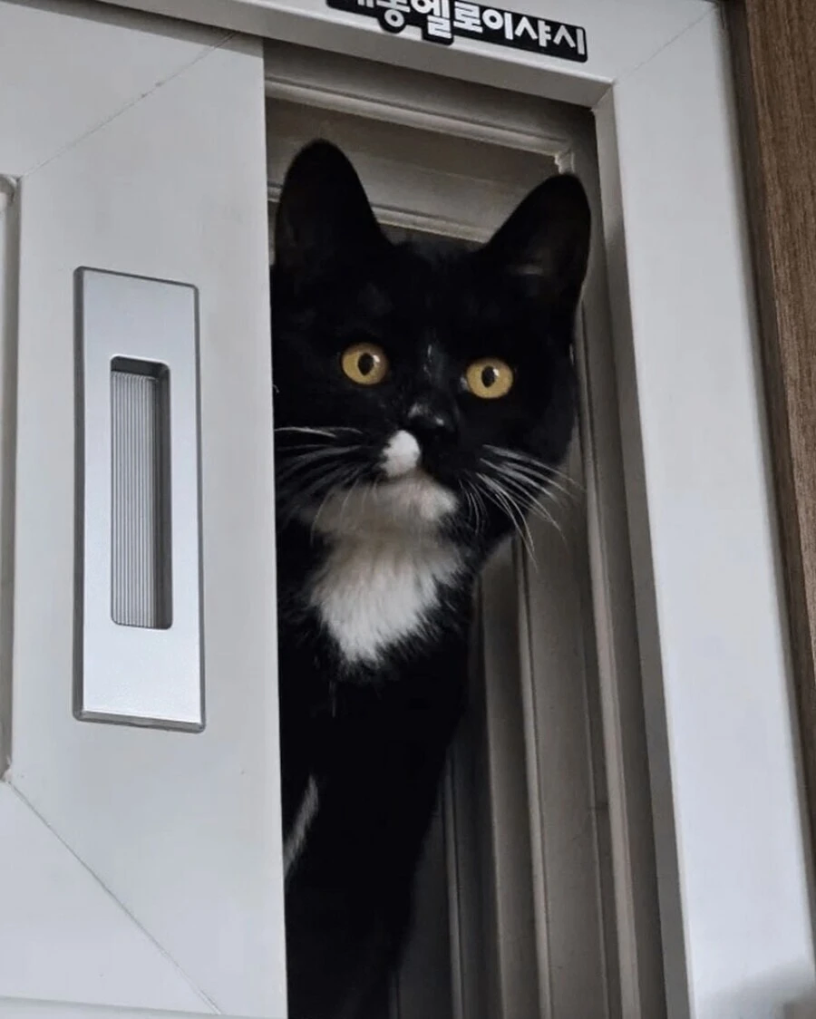 최고의 반지하 옵션_5.webp