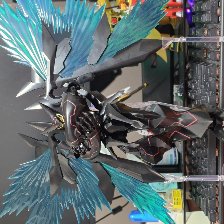 자 무(無)돌아가라!_15.jpg