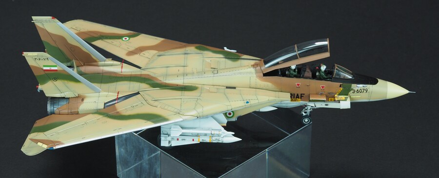 Finemolds 1/72 F-14A Alicat_10.jpg