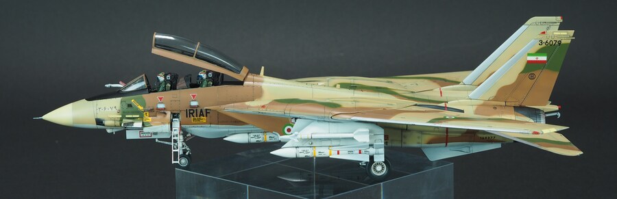 Finemolds 1/72 F-14A Alicat_11.jpg