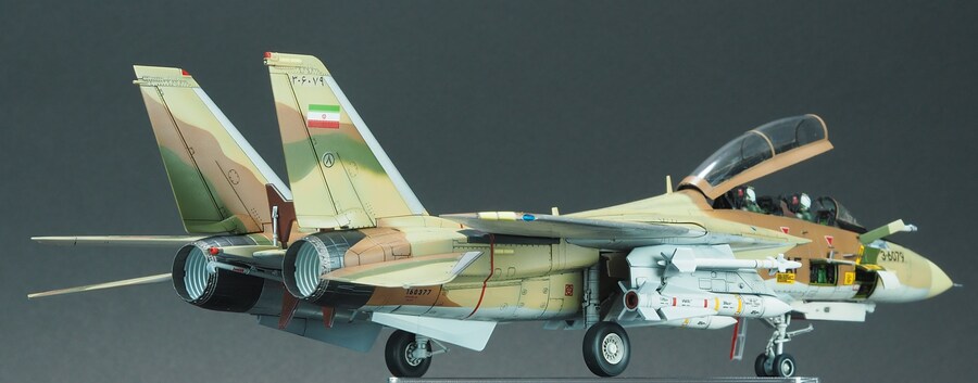 Finemolds 1/72 F-14A Alicat_12.jpg