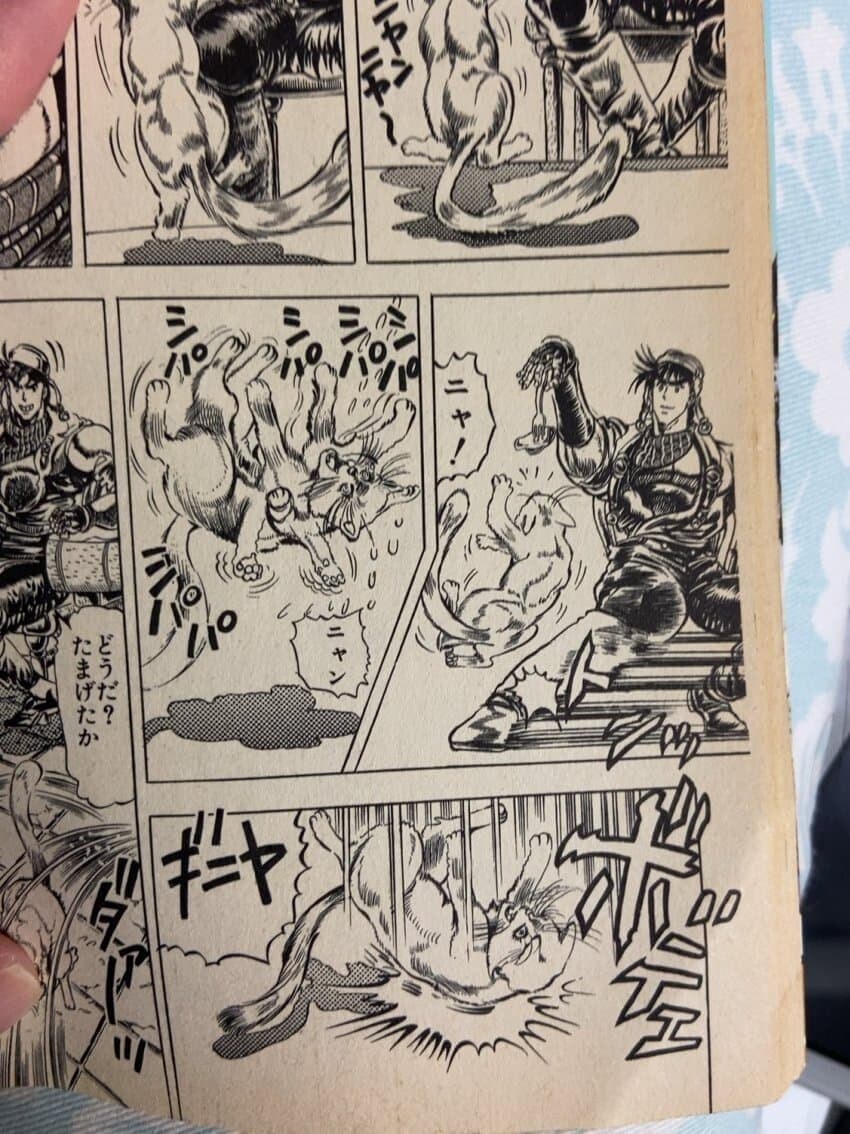 약혐)고양이 존나싫어하는 죠죠작가_2.jpg