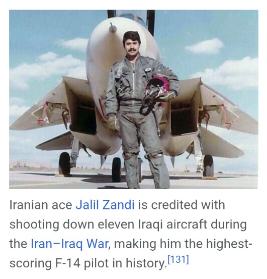 Finemolds 1/72 F-14A Alicat_27.png