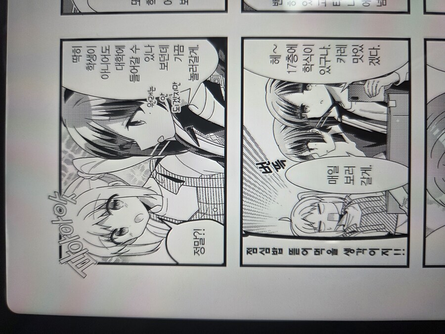 봇치)모두가 wwe인줄 알았던 장면_1.jpg