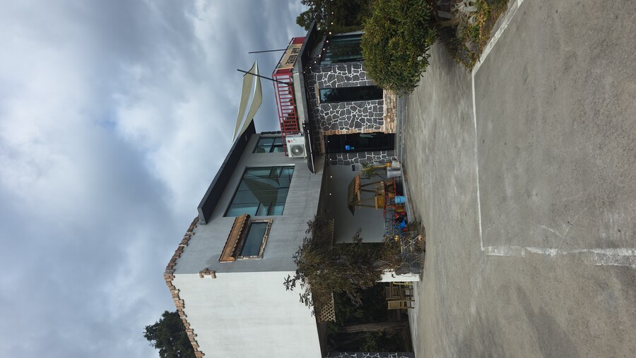 제주도) 서귀포 감귤체험카페 소금빵이랑 커피_1.jpg