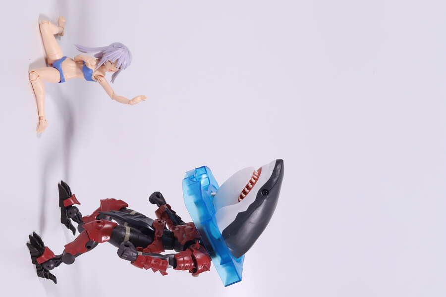 지난 세일 때 구한 백상아리를 조립해봤습니다._7.jpg