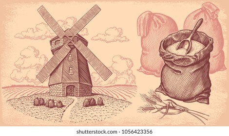 중세시대 밀가루를 보관하기 힘들었던 이유_1.jpg