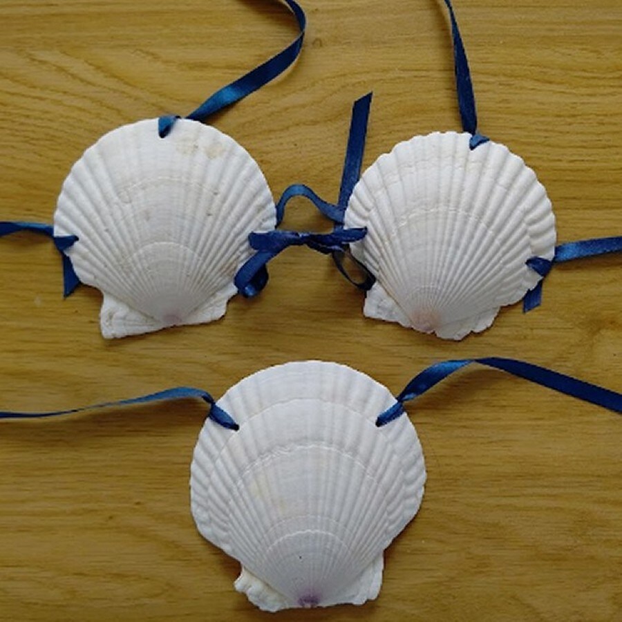 특이점이 왔던 일본 지방 납세 답례품_2.jpg