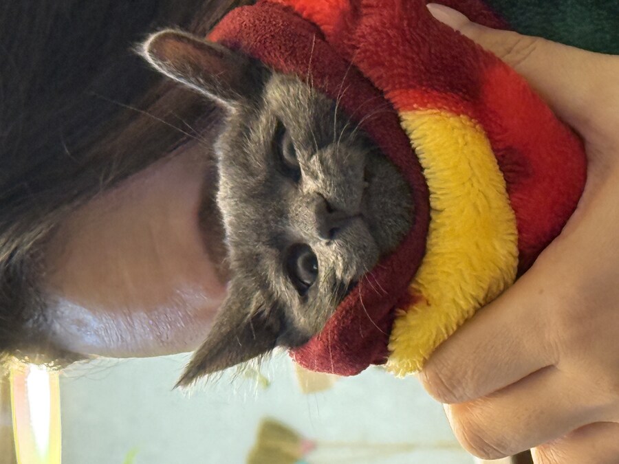 줍냥이 하쿠_13.jpg