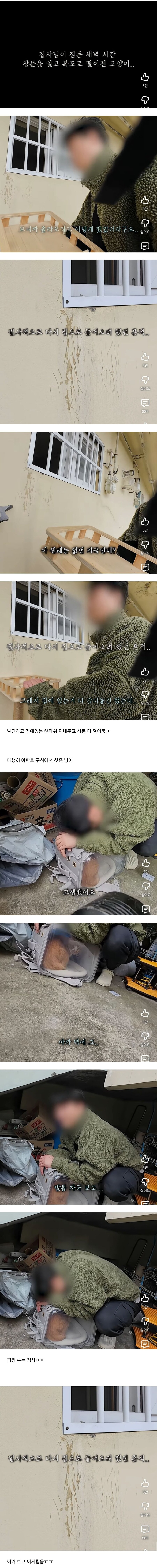 고양이 잃어버렸던 집사가 보자마자 무너진 흔적ㅠ_1.jpg