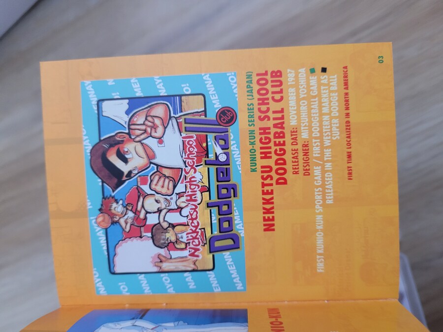 더블 드래곤 & 쿠니오군 -레트로 한정판-_15.jpg