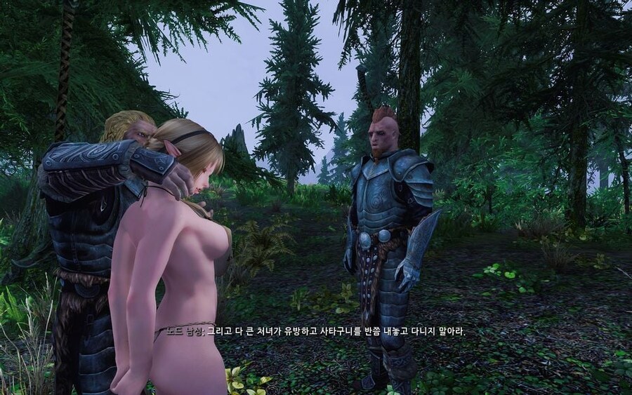 스카이림 주민 근황_1.jpg