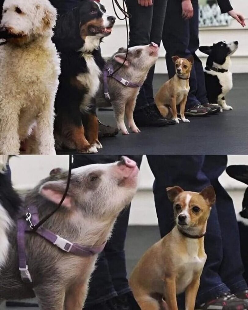 최종면접까지 왔는데.. 이미 내정이 있다는 것을 깨달았다._1.jpg