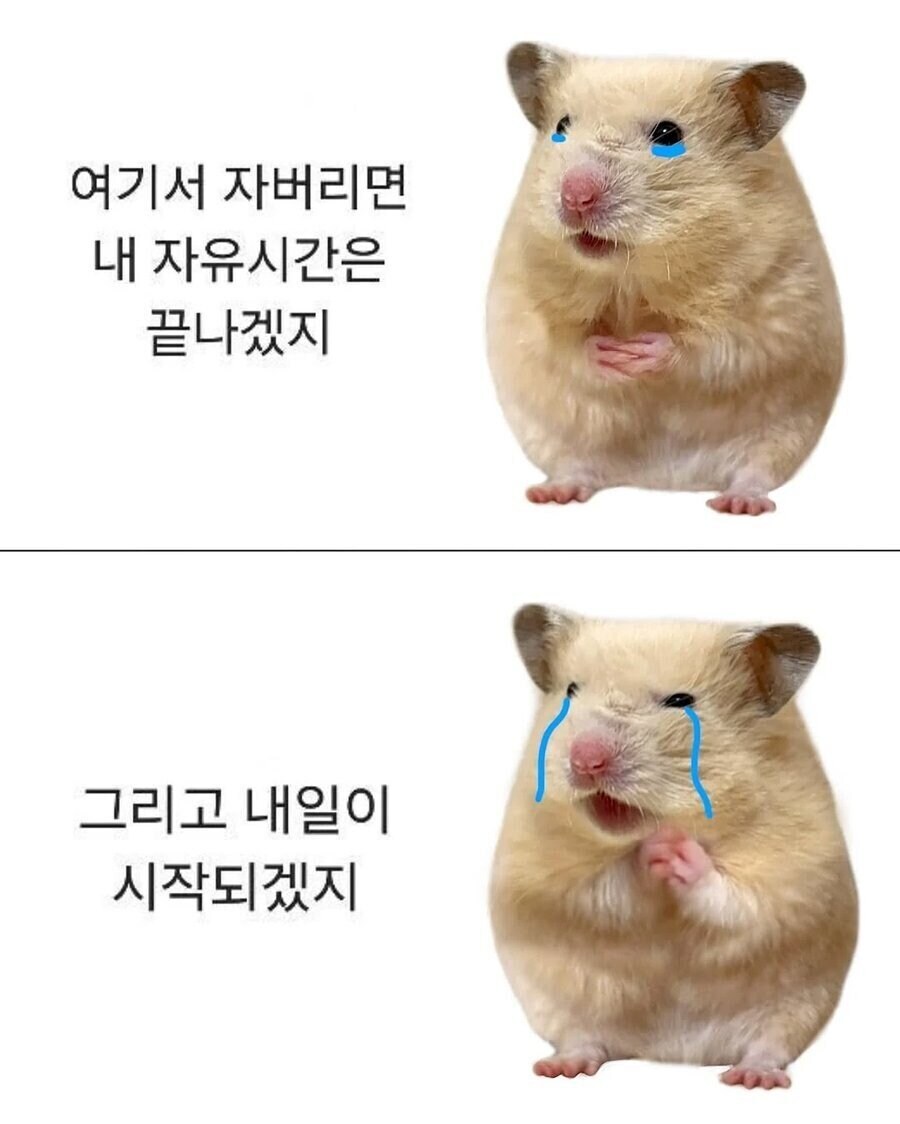 직장인들 퇴근하고 게임 하기전 딜레마_1.jpg