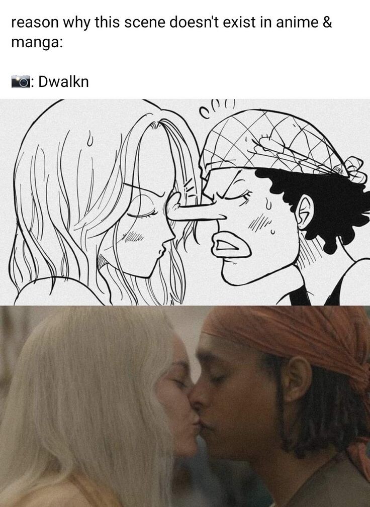 온갖 원피스 미디어믹스에서 오직 드라마만 가능했던 장면_1.jpg