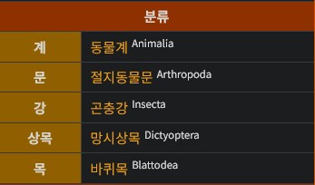 아직도 잘못아는 사람들이 많은 새우 관련 내용_3.png