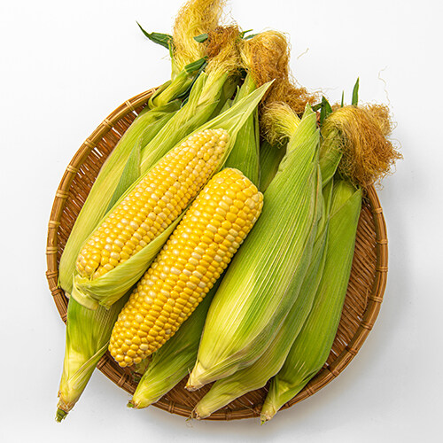 한국인들은 모르는 초당옥수수의 작명법.jpg_1.jpg