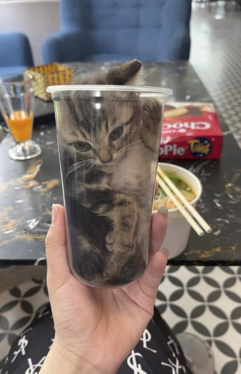 요즘 유행하는 음료수 한잔씩 먹고가라_1.jpg