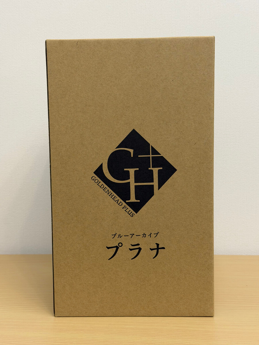 [골든헤드] 블루아카 프라나 1/7 - 2년 걸려 완성된 아로프라!_2.jpg