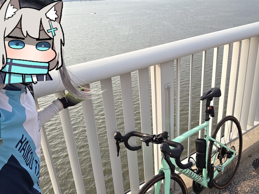 블루아카) 인게임 컨텐츠 없는거 아니었음?_12.jpg