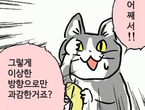 쿠팡 : 모든건 국정원이 지시하고 실행시키고 우리에게 강요시켰다!_3.png