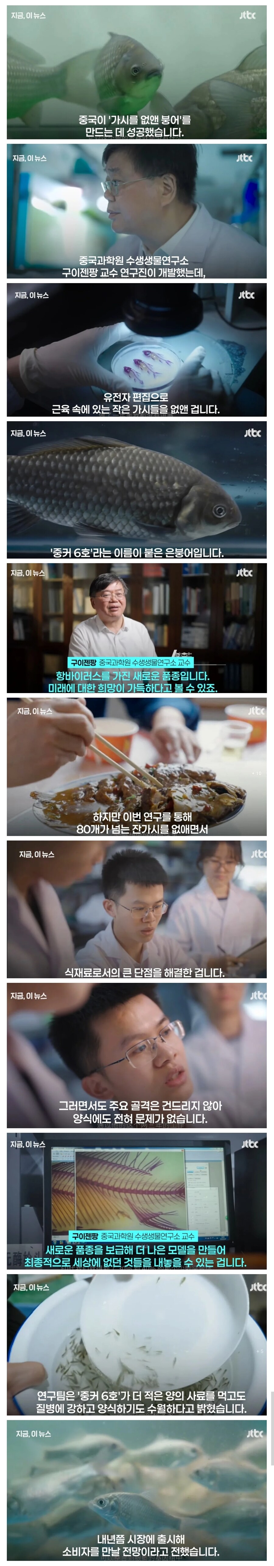 중국에서 개발해버린 잔가시 없는 붕어.jpg_1.jpg