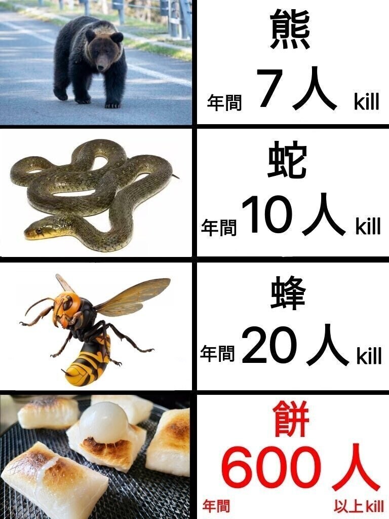 1년에 600명 죽이는 일본 떡국 해먹어 봤다_4.jpg