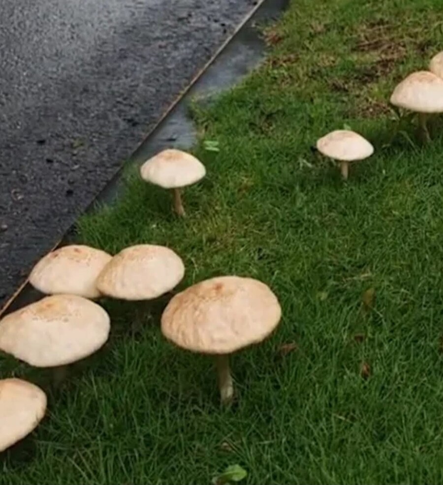 1년치 비가 일주일동안 내린 대만의 여름날_3.jpg