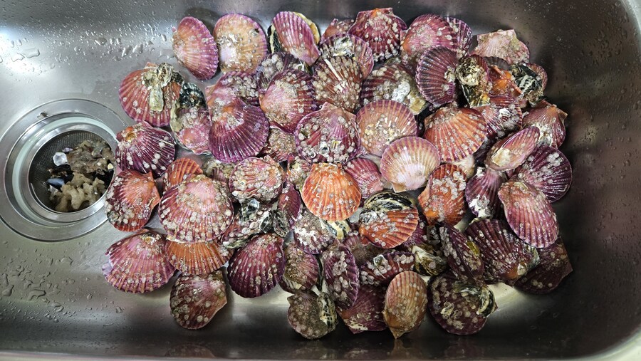 야옹이랑 먹는 석화가리비찜_10.jpg